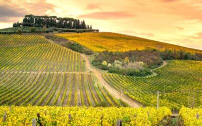 Le colline del chianti sono meta del viaggio perfetto in Toscana.