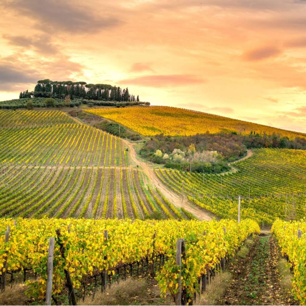 Le colline del chianti sono meta del viaggio perfetto in Toscana.