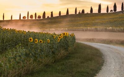 Tuscany4You: la chiave per far vivere ai tuoi clienti la Toscana autentica