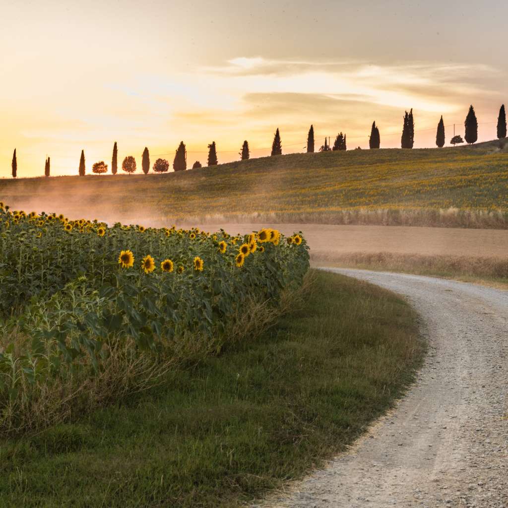 Tuscany4You: la chiave per far vivere ai tuoi clienti la Toscana autentica